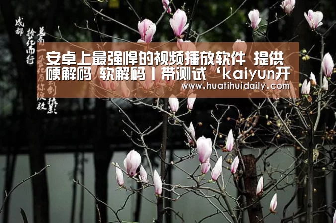 安卓上最强悍的视频播放软件 提供硬解码 软解码丨带测试‘kaiyun开云’(图4) kaiyun开云