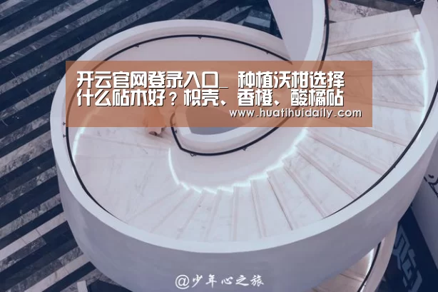 开云官网登录入口